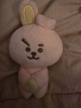 BT21 Cooky Plush Magnet